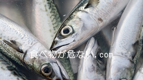 魚の油(DHA・EPA)で病気予防！健康な体に欠かせない訳とは？