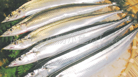 魚のEPA・DHAで健康な体に！水銀や放射能など有害物質の影響は？