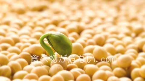 原料の大豆は、ほぼ遺伝子組み換え