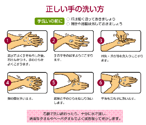 細菌やウイルスの付着を防ぐ正しい手の洗い方