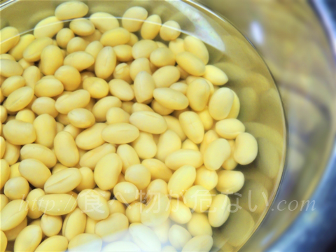 大豆には大豆イソフラボン以外にも、体にさまざまな影響を与える成分が含まれています。それらの成分の安全性もチェックしておきましょう。