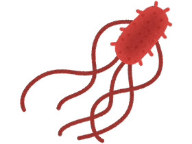 腸管出血性大腸菌