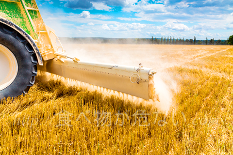 小麦粉は農薬が高濃度で残っている
